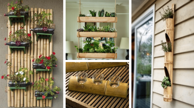 20+ skvělých nápadů na využití bambusu u vás doma – Inspirujte se!