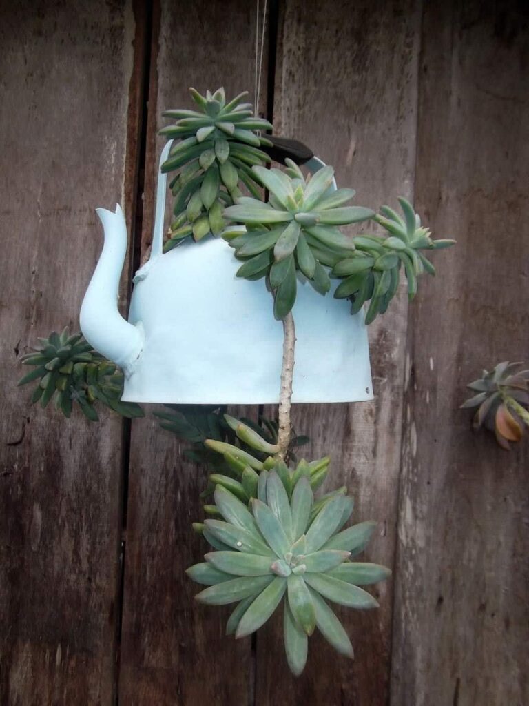 Využijte starou čajovou konvici nebo džbánek: Překrásné nápady na venkovní dekorace