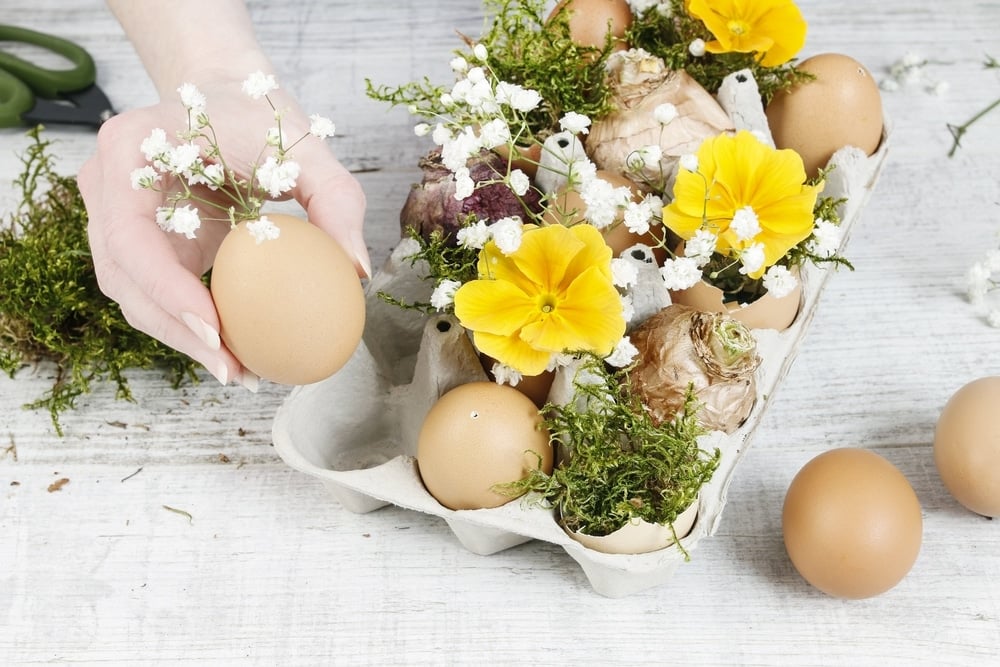 Jarní nápady na to, jak zužitkovat papírové plato od vajec – Tvoření pro děti i dospělé