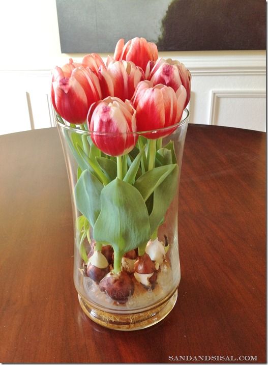Vytvořte si jarní atmosféru s dekoracemi z květinových cibulek ve skle či květináči