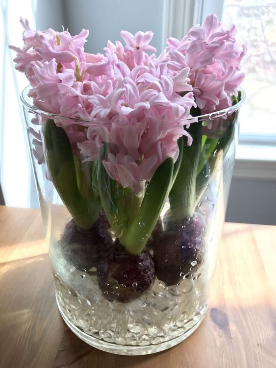 Vytvořte si jarní atmosféru s dekoracemi z květinových cibulek ve skle či květináči