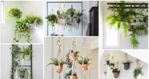 Závěsné truhlíky s rostlinami vytvoří oázu snů – inspirujte se