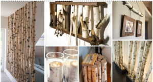 Vneste do svého domova kus přírody – Březové dřevo jako krásná přírodní dekorace