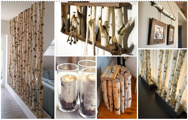 Vneste do svého domova kus přírody – Březové dřevo jako krásná přírodní dekorace