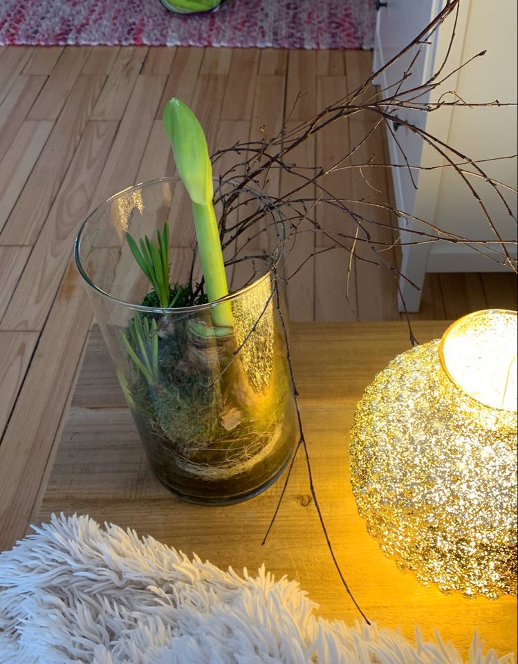 Originální dekorace – Ozdobte Váš stůl jarními cibulkami ve skle