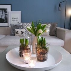 Originální dekorace – Ozdobte Váš stůl jarními cibulkami ve skle