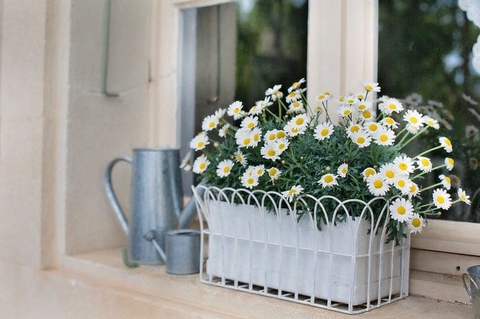 Okenní a balkonová výzdoba pomocí truhlíků s květinami
