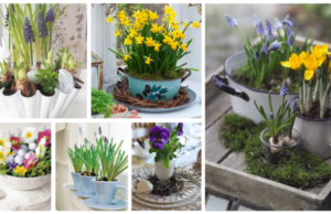 Proměňte staré nádobí v překrásné dekorace na jarní období