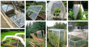 Inspirace na levné zahradní skleníky