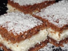 Recept na kakaové řezy s kokosem a krémem: Recept zde