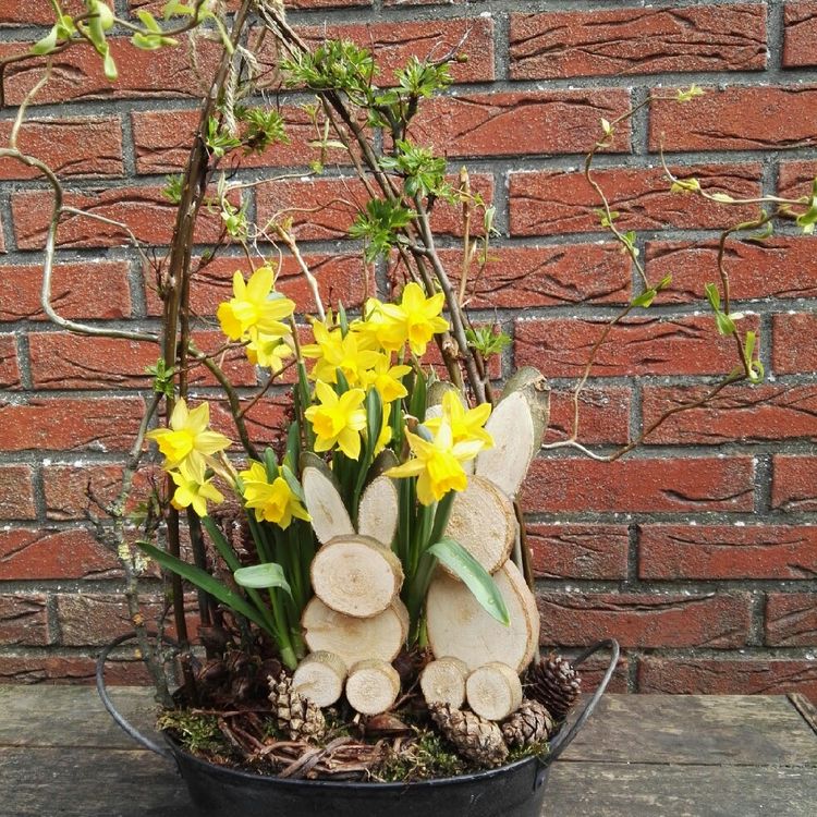 Inspirace na přírodní dekorace ve tvaru vejce: Vyzdobte si svou domácnost na jarní měsíce