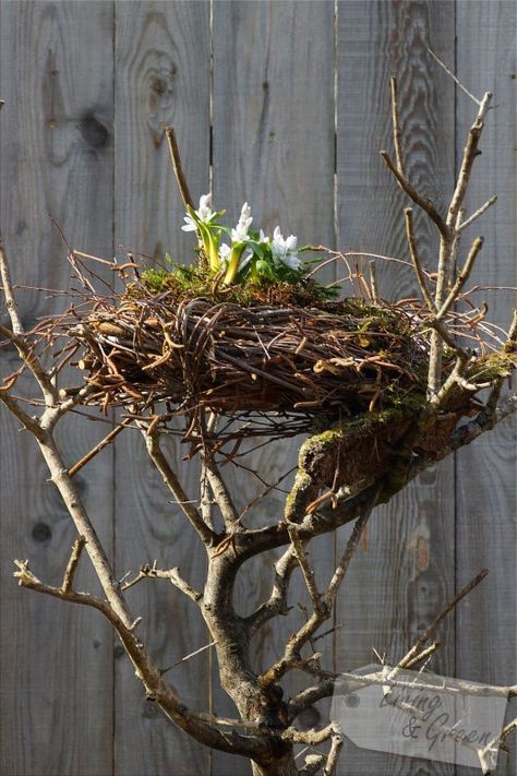 Vytvořte si hnízdo z větviček, které Vás bude těšit celé jarní měsíce: 25+ krásných nápadů