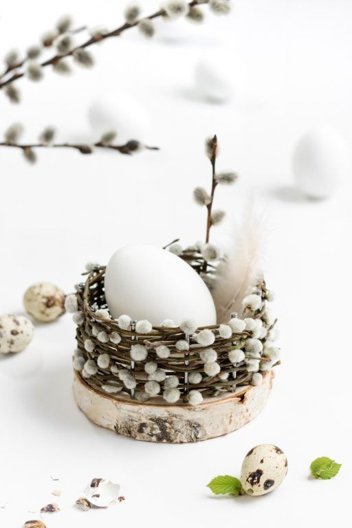 Tvoření z kočiček: 25+ krásných nápadů na velikonoční dekorace, které si lehce vytvoříte!