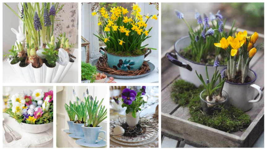 proměňte staré nádobí v překrásné dekorace na jarní období: jednoduché a levné nápady