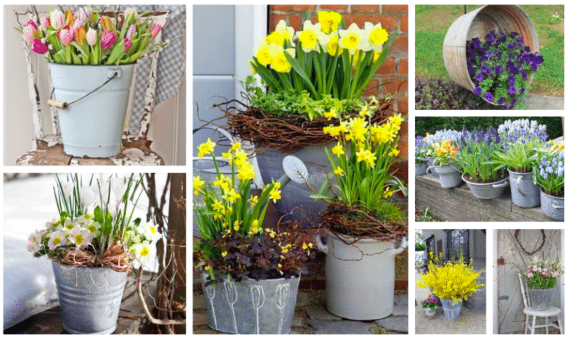 využijte staré kýble a lavory – vytvořte si úžasné venkovní dekorace na jarní měsíce