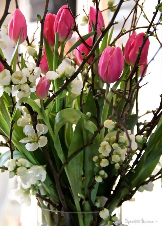 Inspirace na krásné tulipánové dekorace: Stačí naskládat do vázy!