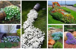 Zkrášlete si zahradu pomocí rozlitých květináčů: Výsledek Vás okouzlí