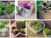Stačí Vám jen cement a voda: Vytvořte si krásné květináče na zahradu