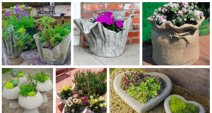 Stačí Vám jen cement a voda: Vytvořte si krásné květináče na zahradu