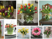 Inspirace na krásné tulipánové dekorace