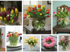 Inspirace na krásné tulipánové dekorace