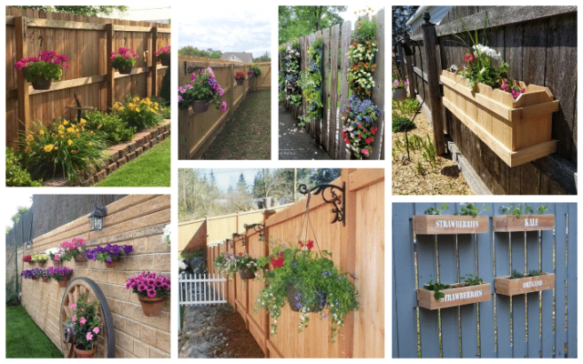 Jak zkrášlit holé ploty a zdi! Inspirujte se našimi tipy - Prima Inspirace