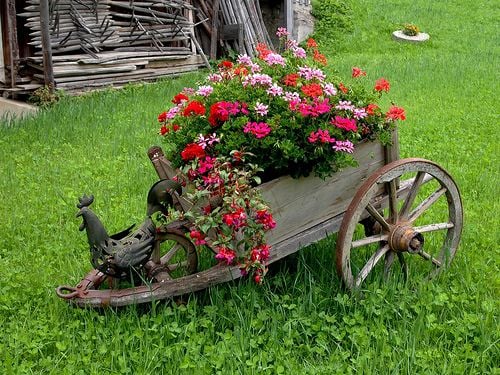 Nápady a inspirace na krásné “pojízdné” květináče, které se stanou chloubou vaší zahrádky!