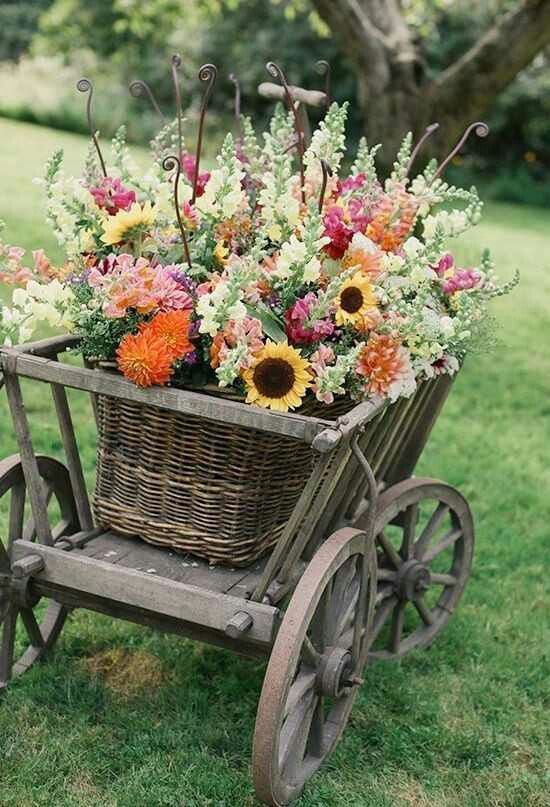Inspirace na krásné “pojízdné” květináče, které se stanou chloubou vaší zahrádky!