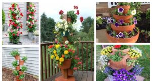 Úžasná zahradní dekorace: Vytvořte si květinovou věž