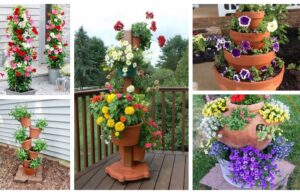 Úžasná zahradní dekorace: Vytvořte si květinovou věž