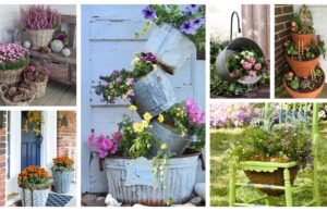 40+ inspirací na netradiční květináče na Vaší zahradu nebo dvůr