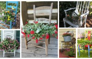 Jak využít staré židle v zahradě jako dekorace