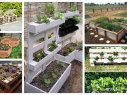 Kreativní způsoby na pěstování zeleniny a ovoce v zahradě