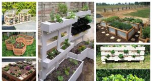 Kreativní způsoby na pěstování zeleniny a ovoce v zahradě: 25+ super inspirací Kreativní způsoby na pěstování zeleniny a ovoce v zahradě