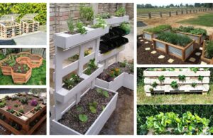 Kreativní způsoby na pěstování zeleniny a ovoce v zahradě