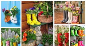 Nápady na proměnu starých bot v dekoraci: Inspirace na zahradu a terasu