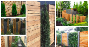 Využijte dřevo v zahradě: Nápady na krásný plot nebo zástěnu