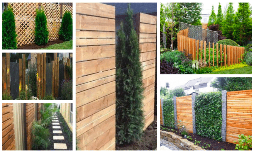 Využijte dřevo v zahradě: Nápady na krásný plot nebo zástěnu