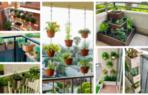 Úžasné nápady na pěstování na balkoně