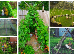 Vytvořte si na zahradě živý stan - jedná se o skvělou zábavu pro Vaše děti!