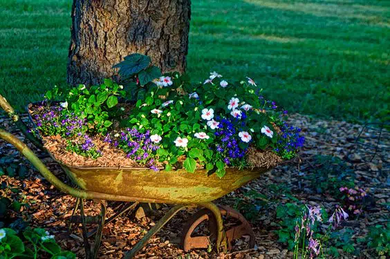 Jak proměnit rozbité zahradní kolečko v dekorace