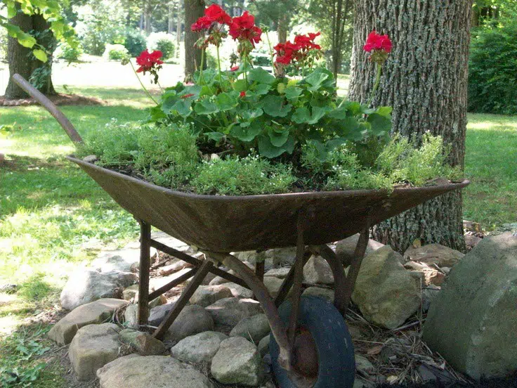 Jak proměnit rozbité zahradní kolečko v dekorace