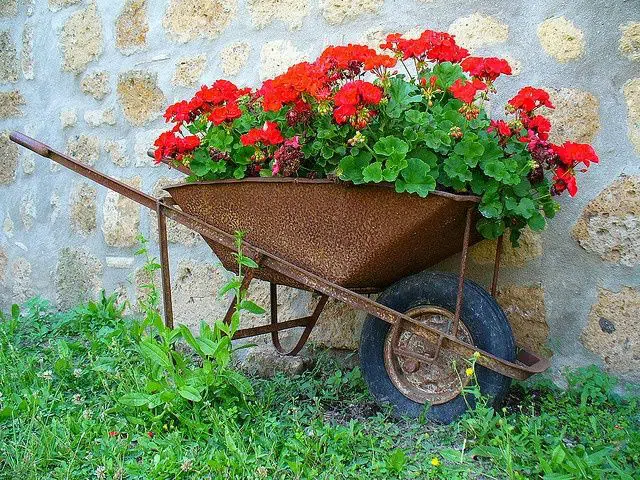 Jak proměnit rozbité zahradní kolečko v dekorace