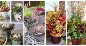 Proměna květináčů: Podzimní dekorace, které vás ohromí a nestojí téměř nic