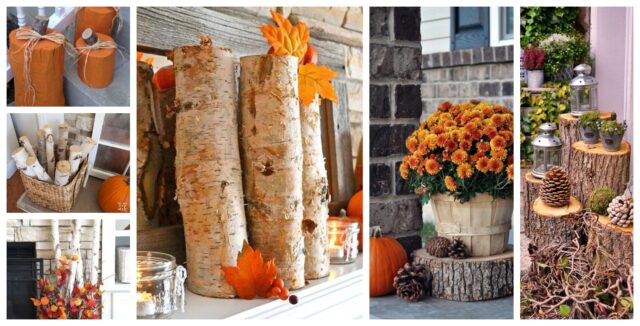 BeFunky-collage (21)