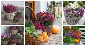 Proměňte obyčejný košík v podzimní hit! 10 Top nápadů, které musíte vidět