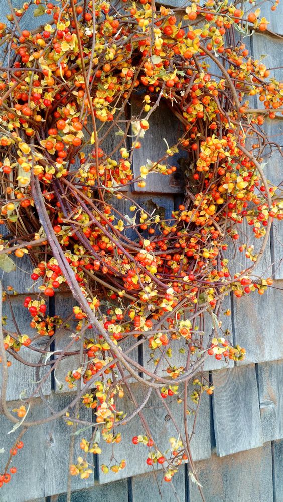 Podzimní dekorace z proutí a větviček: Neutrácejte za drahé umělé dekorace
