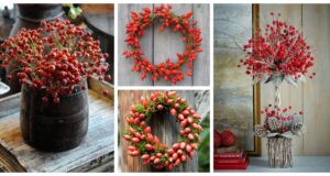 Dekorace z šípků: Návody a inspirace na překrásné podzimní tvoření Nasbírejte si několik větviček šípků a začněte tvořit - překrásné dekorace