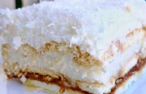 kokosové pokušení: vyzkoušejte tento bezkonkurenční nepečený dort!