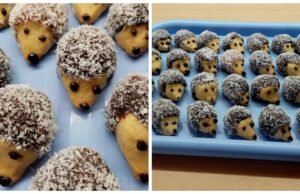 vynikající ořechoví ježci – recept na vánoční cukroví